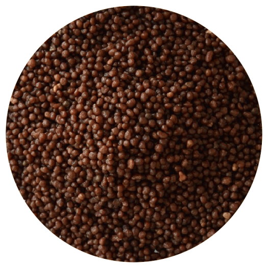  Granular Diammonium Phosphate (DAP)